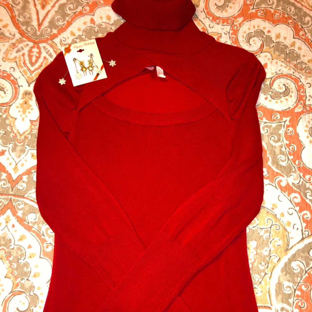 Turtle neck sweater dress